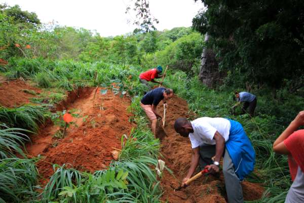 Swales At Distant relatives Kilifi