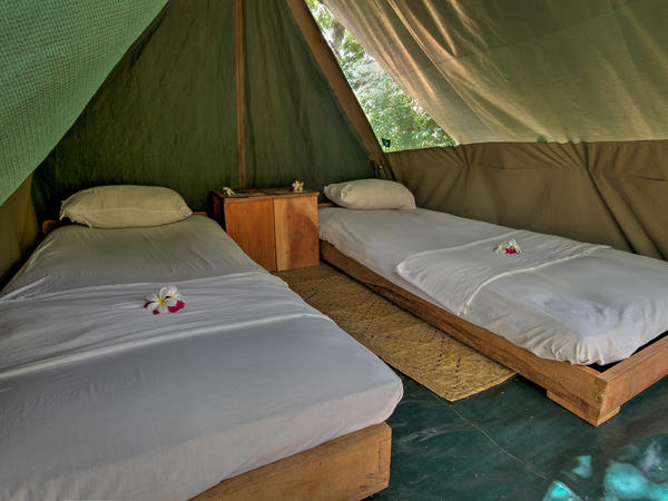 Safari Tents